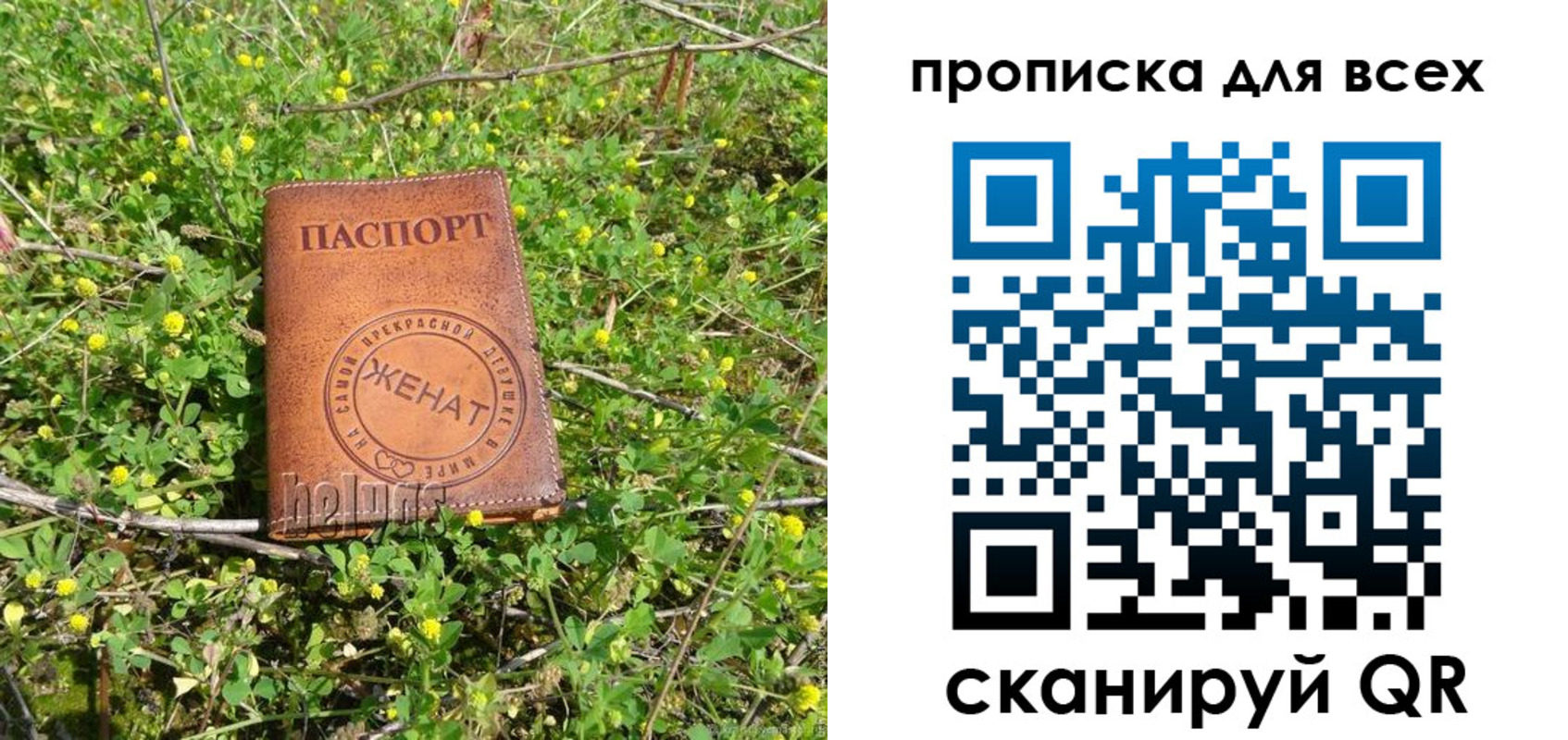 прописка поиск в Светлограде